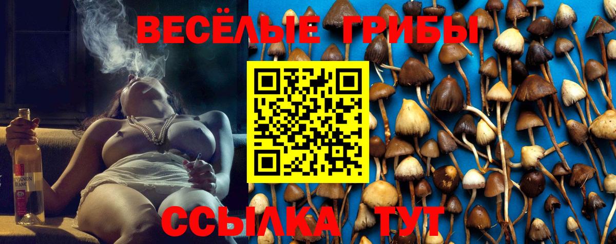 Троицк  Галлюциногенные грибы мухоморы  Вход с VPN 