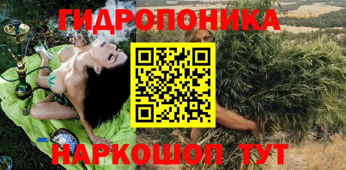 Бошки марихуана семена  Каннабис индика  Вход с VPN  Марихуана индика  Троицк 